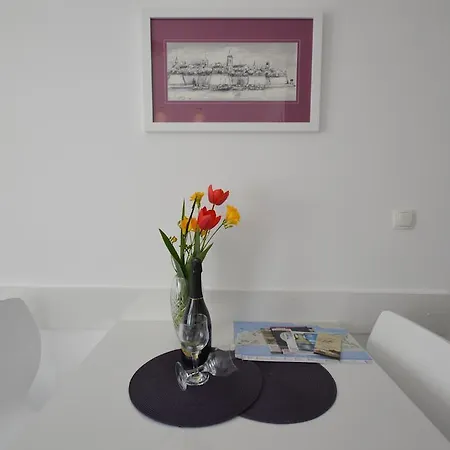 Apartment Downtown Main Street Zadar