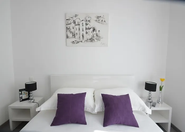 市区主街公寓 扎达尔